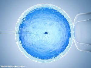代生供卵公司试管婴儿中心